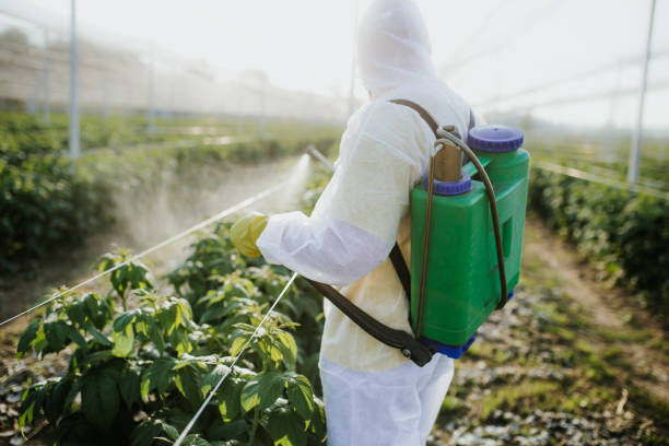 Best Bed Bug Extermination  in Homer Glen, IL
